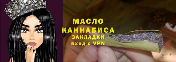 тгк Няндома