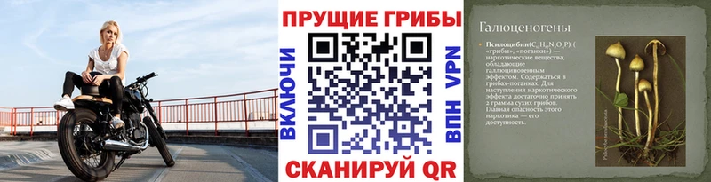 МЕГА зеркало  закладка  Макушино  Галлюциногенные грибы Cubensis 
